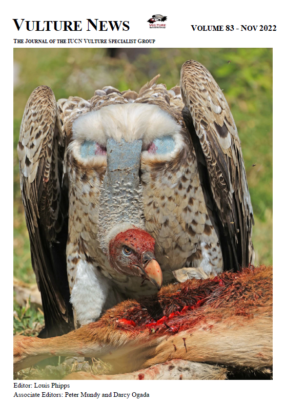 Vulture News