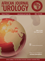 African Journal of Urology