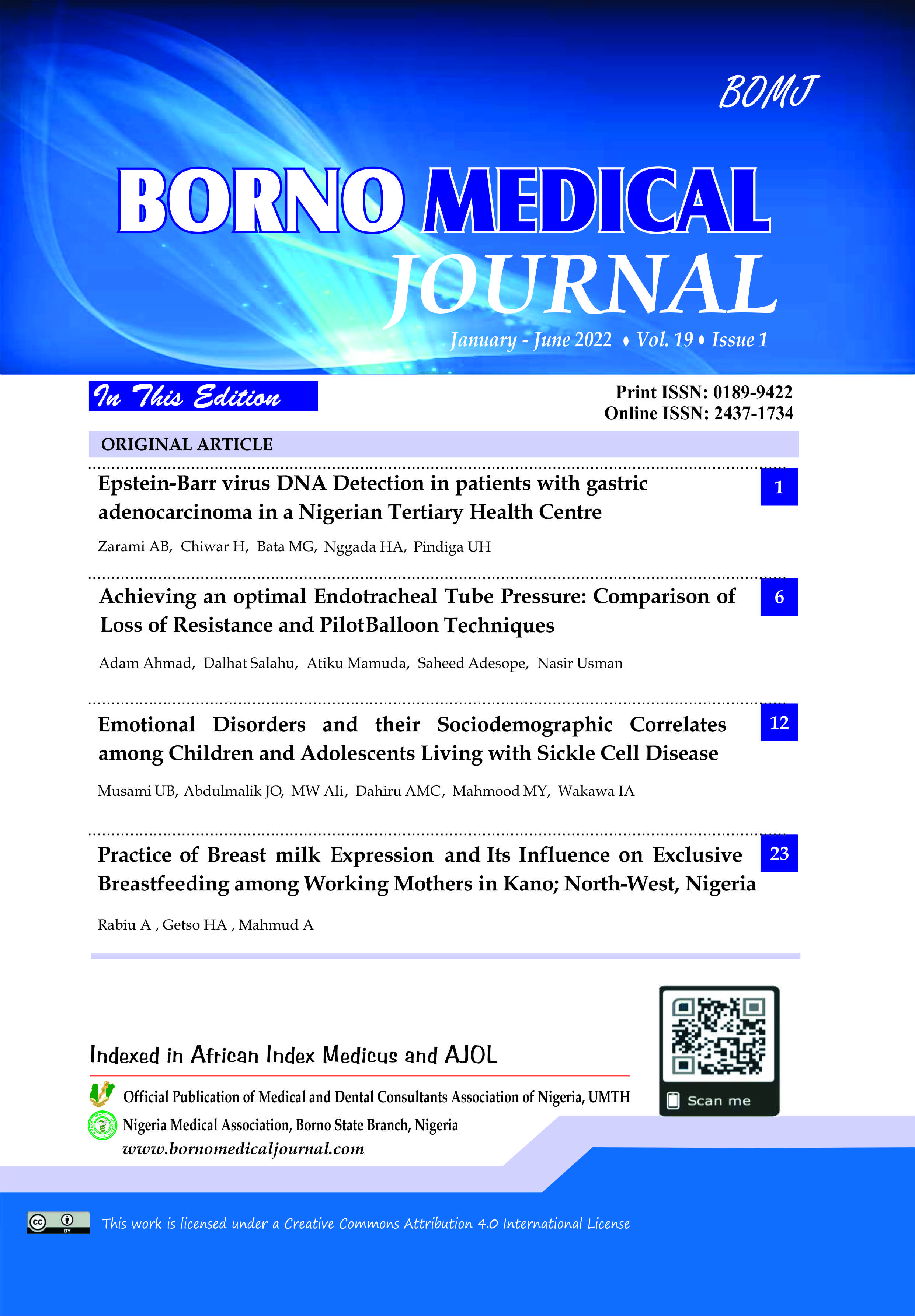 Borno Medical Journal